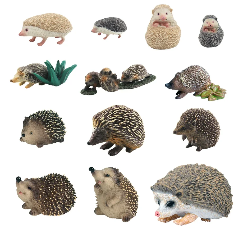 

Realistic Hedgehog Animal Model Figure Wild Forest Hedgehogs Figurines Decor Collector Educational Toys Cognitive Children Gifts