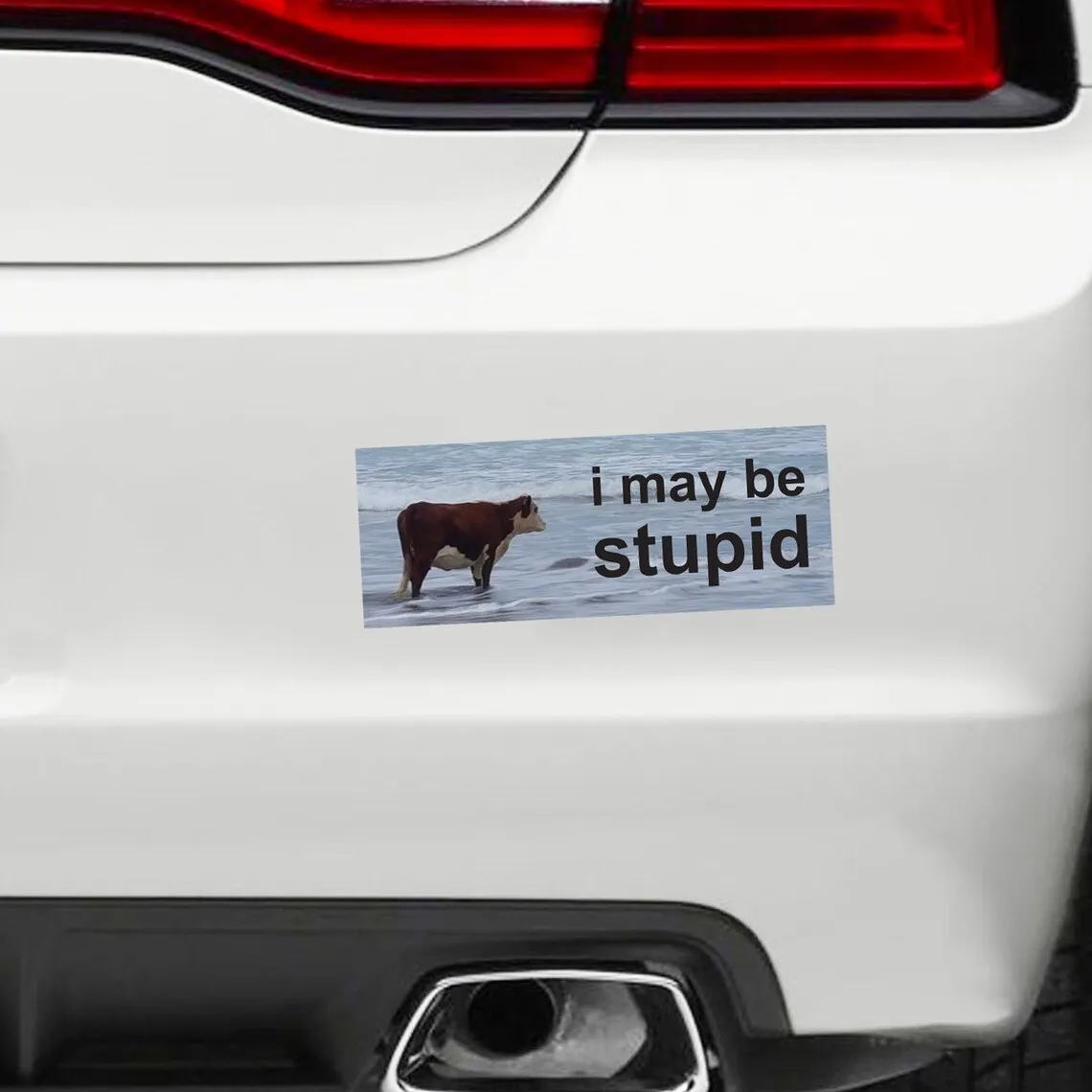 I May Be Stupid Joke Car Stickers, Funny Bumper Sticker For Window Windshield Accessories, Waterproof Vinyl Decals Driver Gift