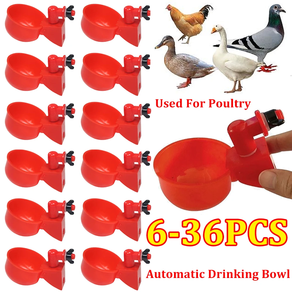 

Chicken Drinking Cup Automatic Drinker Chicken Feeder Plastic Poultry Waterer Drinking Water Feeder for Chicks Duck Goose Quail