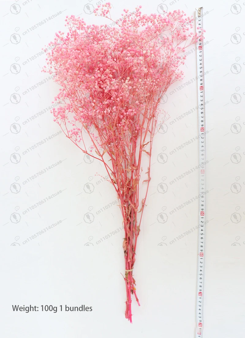 

Natural dry preserved multi-colored Gypsy bouquet