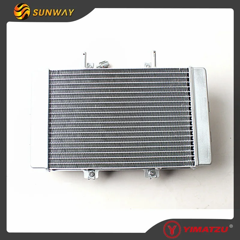 YIMATZU ATV  Parts RADIATOR ASSY for Buyang FEISHEN  FA-D300 H300 Quad Bike 2.6.01.0031 2.6.01.0041