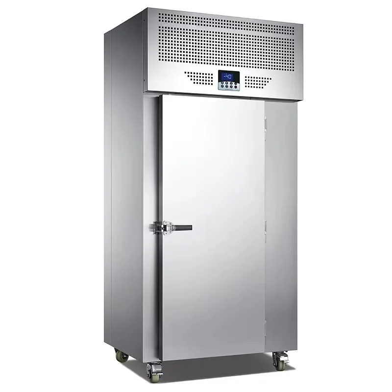Minus 40 Degree  Low Temperature  Tunas Fish Blast  Freezer Fast Equipment 15 Tray Refrigerator