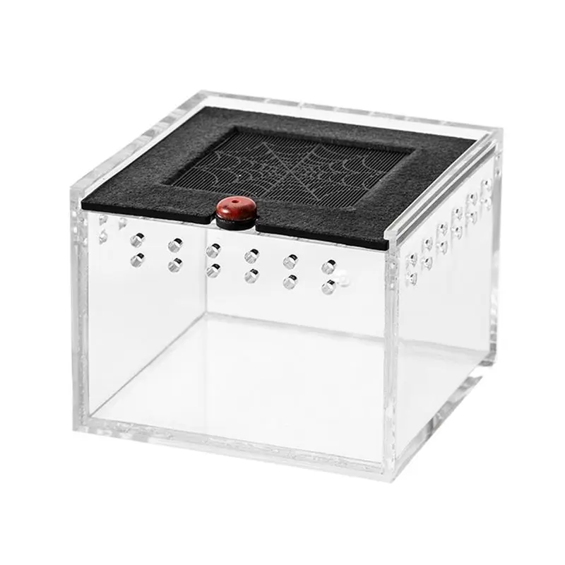 ABJI-Spider Enclosure Small Insect Breeding Box Prevent Escape Reptile Terrarium Insect Feeding Cage