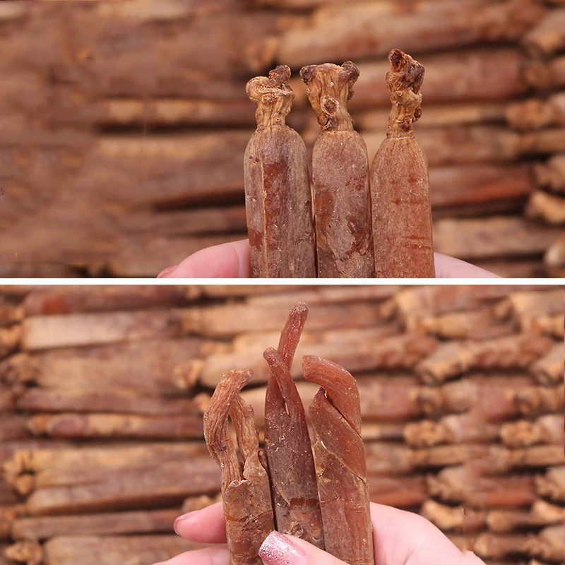 Raíz Seca de Ginseng Coreano: Apoyo Energético, Rendimiento Masculino y Sistema Inmunitario para Deportes de Raqueta, Deportes y Entretenimiento