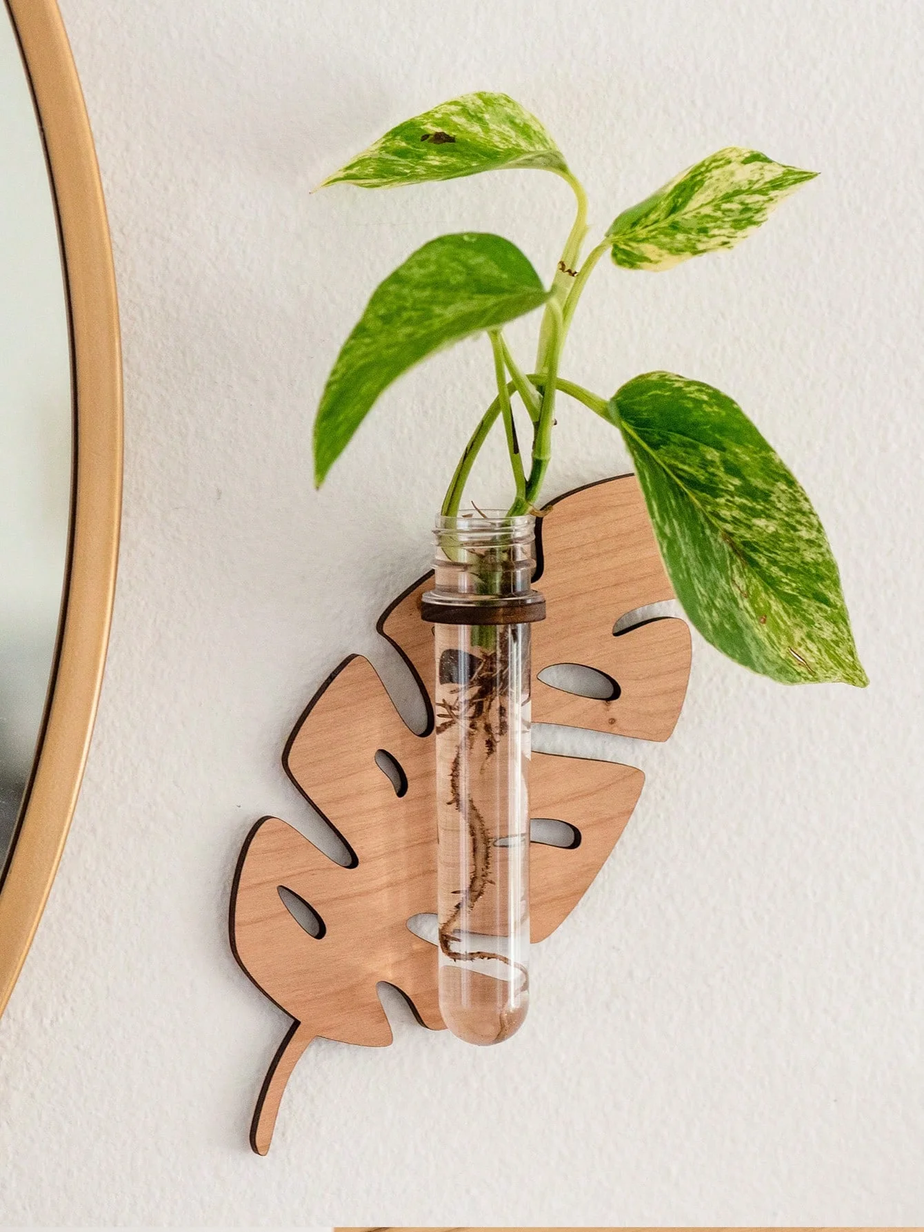 Thumbnail 4 - #71 Best Decorative Flower Vases to Buy In 2026