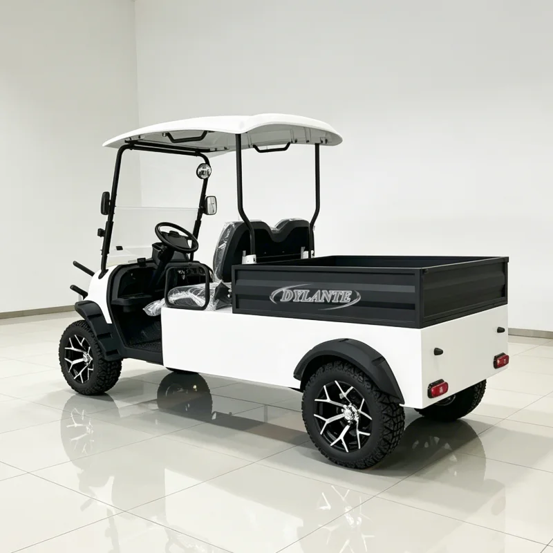 

Electric Golf Buggy 2 Seat with Rear Cargo Golf Cart Hunting Off Road 4x4 Golf Cart