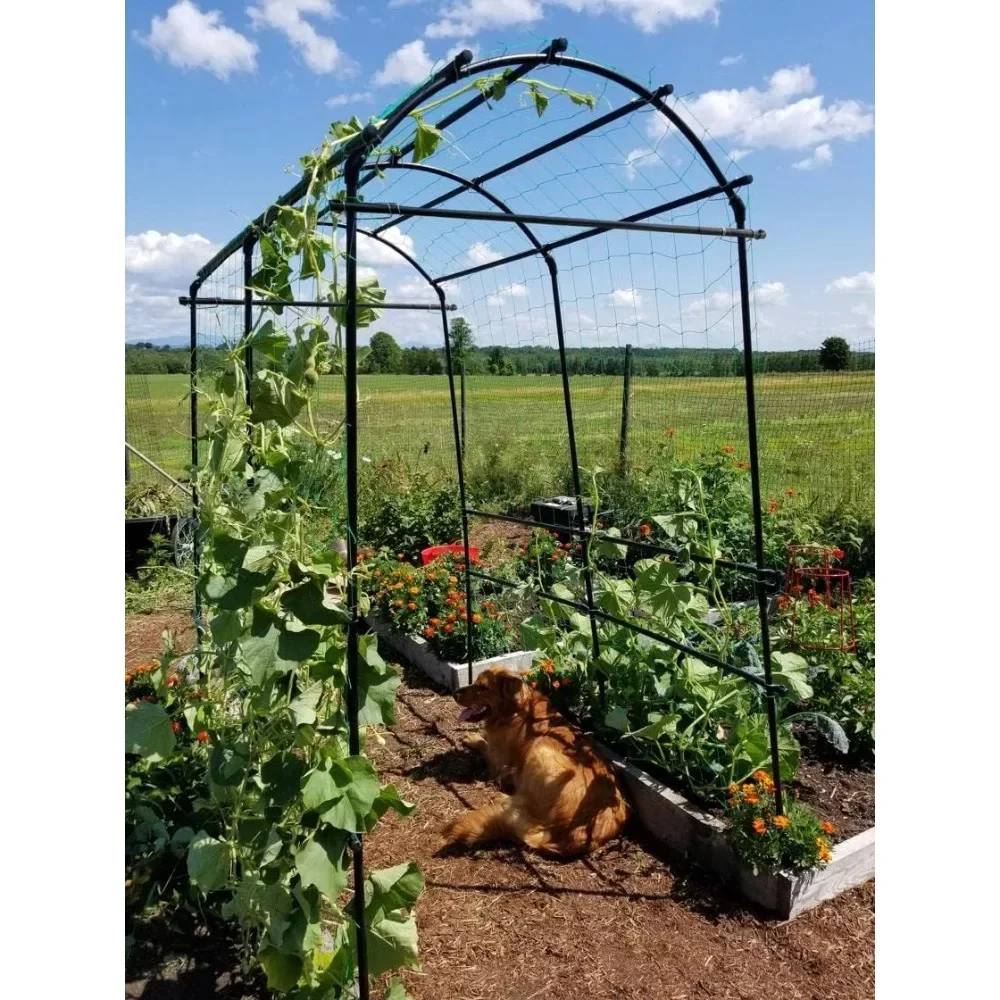 Extra Tall Garden Arch Arbor 80in Titan Squash Tunnel | Outdoor Lawn Tower & Garden Support Structure，Black, Green