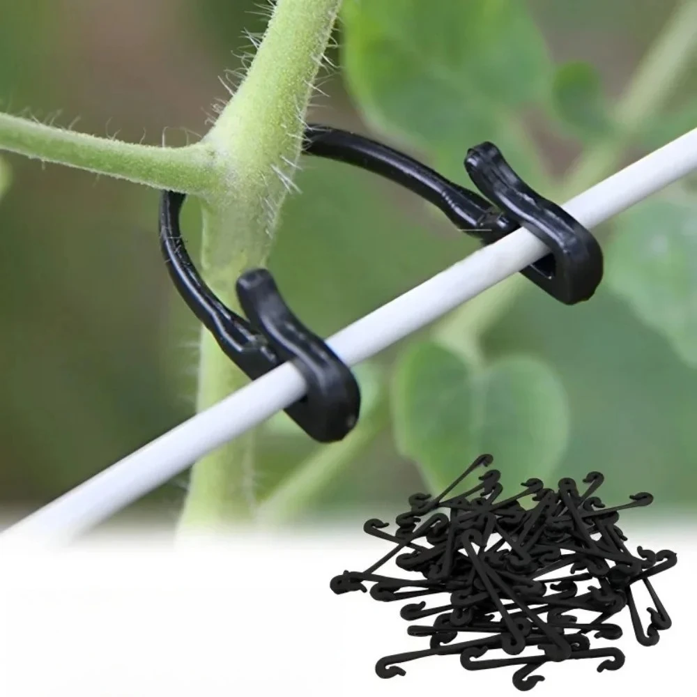 

50/100/200Pcs Plant Vine Binding Clip Garden Plants Fixed Clip Buckles Tomato Vegetable Grape Support Vine Clip Fixed Plant Clip