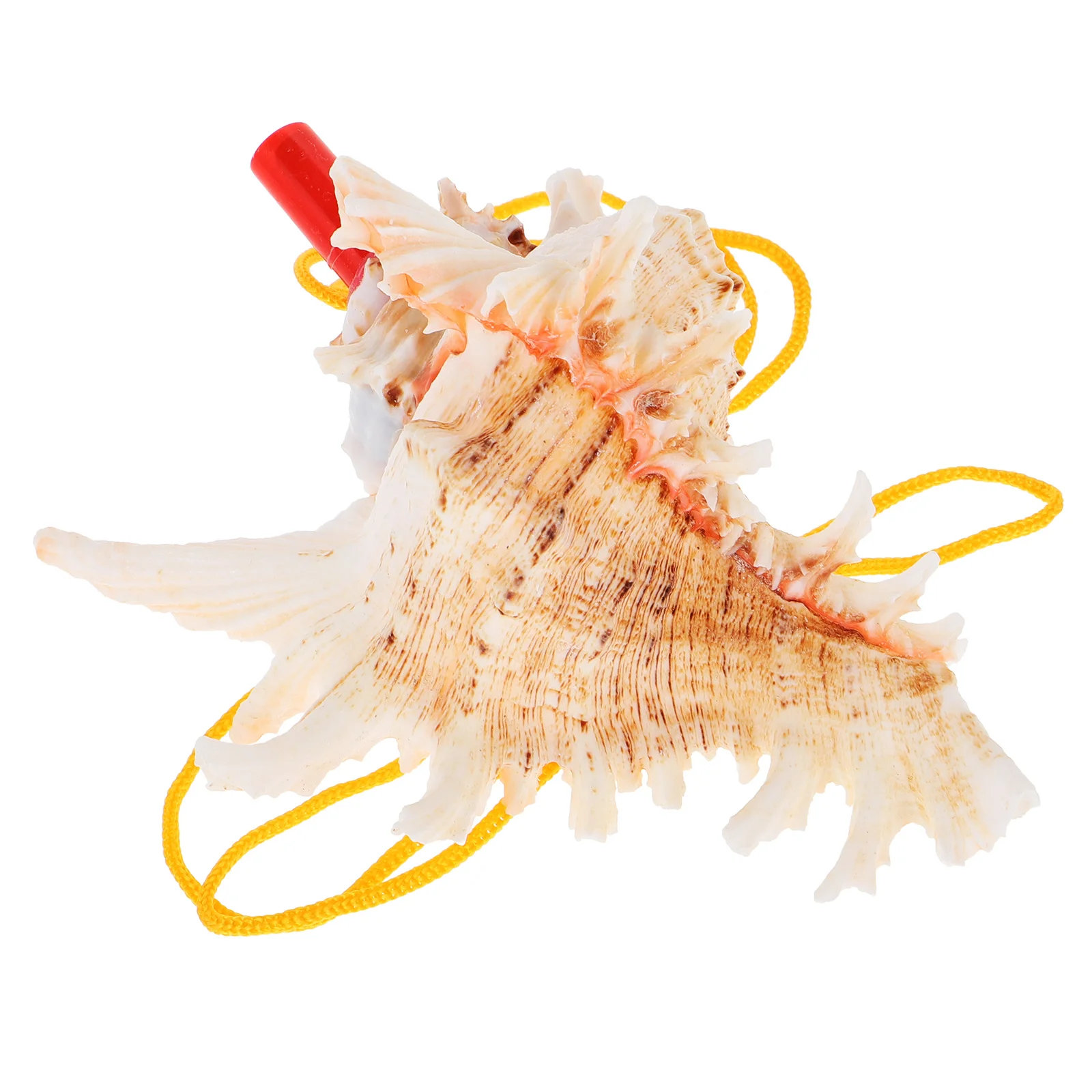 البحر الطبيعي محارة القرن صافرة متعددة لهجة صوت واضح الكبار لعب السفر السياحة حفلة تفضل أداة عزف موسيقى قذيفة كبيرة #4