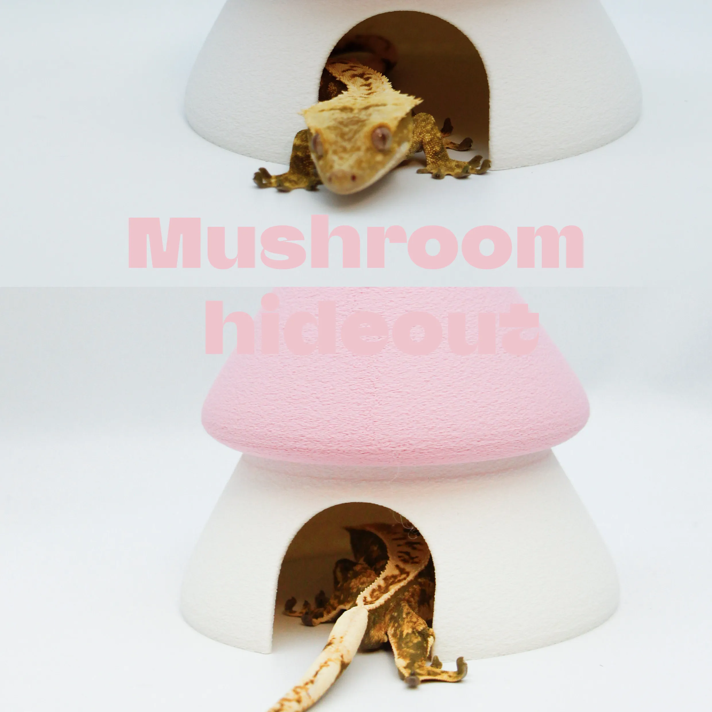 New Color‑Block Mushroom Reptile Hideout, Top‑Ventilation Terrarium Cave for Crested Gecko Lizard Snake Exotic‑Pet Habitat Decor - view 5