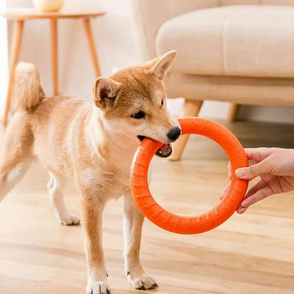 Dog Toys Pet Flying Disk Training Ring Puller Anti-Bite Floating Interactive Supplies Dog Toys Aggressive Chewing