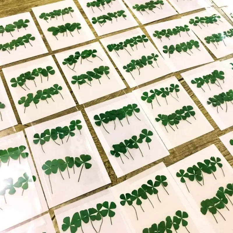 12 Uds. De trébol de hoja seca de la suerte, decoración de resina UV, molde epoxi para decoración de uñas, accesorio de joyería de relleno DIY para funda de teléfono, decoración del hogar