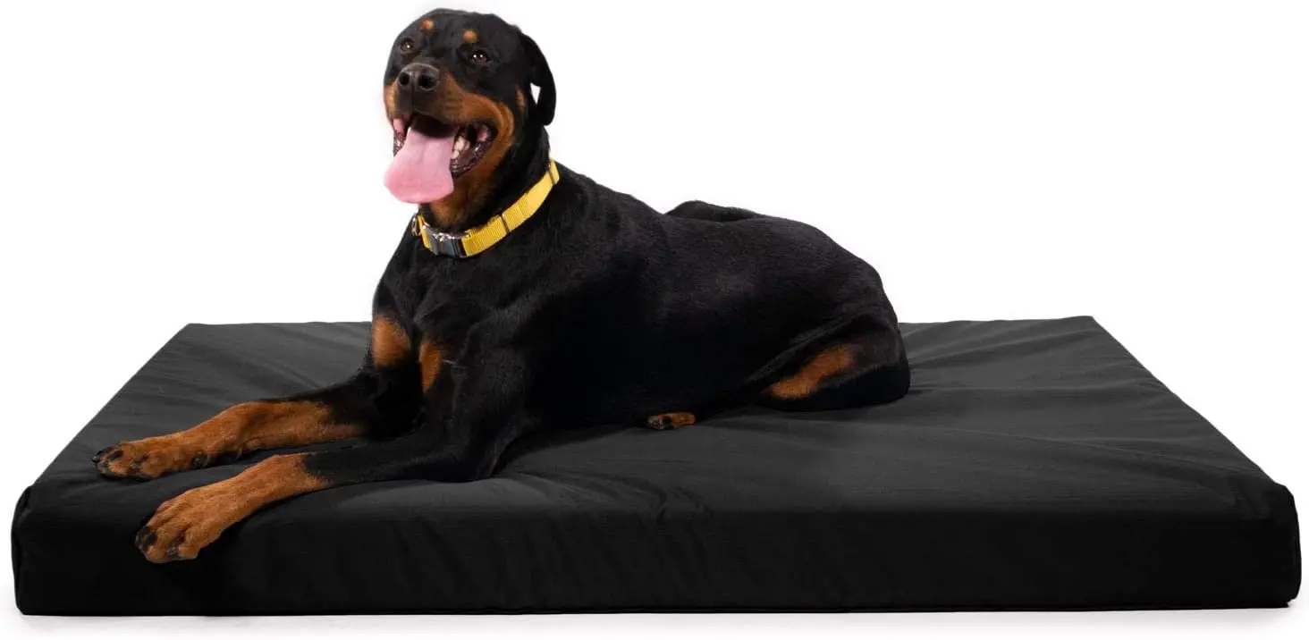 

Tough Ripstop Orthopedic Rectangle Dog Bed Removable Washable Cover, Solid Orthopedic Foam for X-Large Dogs 54"x38", O