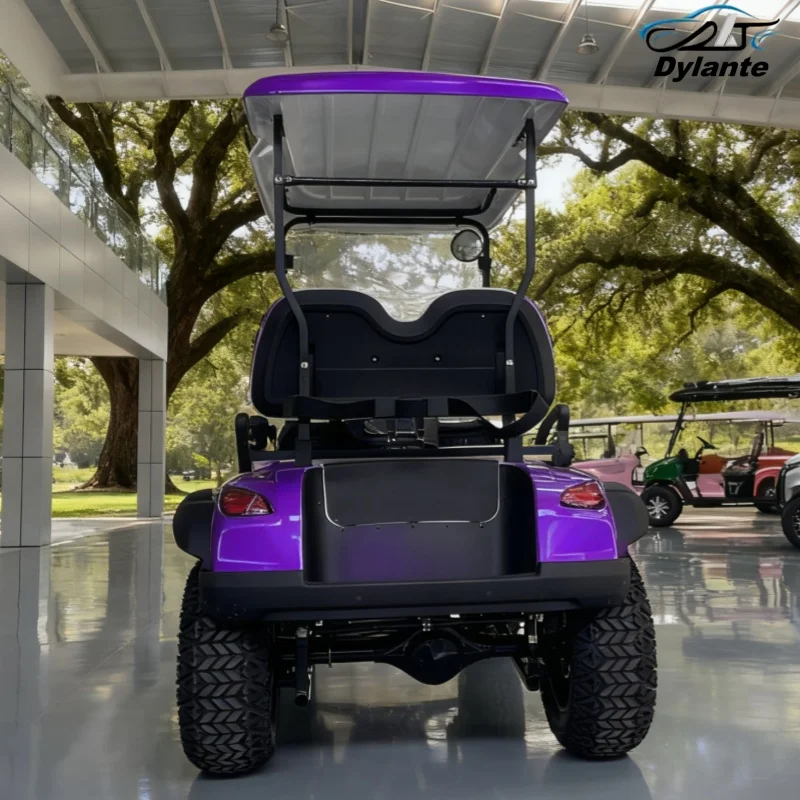 Lithium Battery Electric Golf Cart 30% Max Driving Slope With Folding Windshield 12-Inch Off-Road Tires Aluminum Alloy Wheels