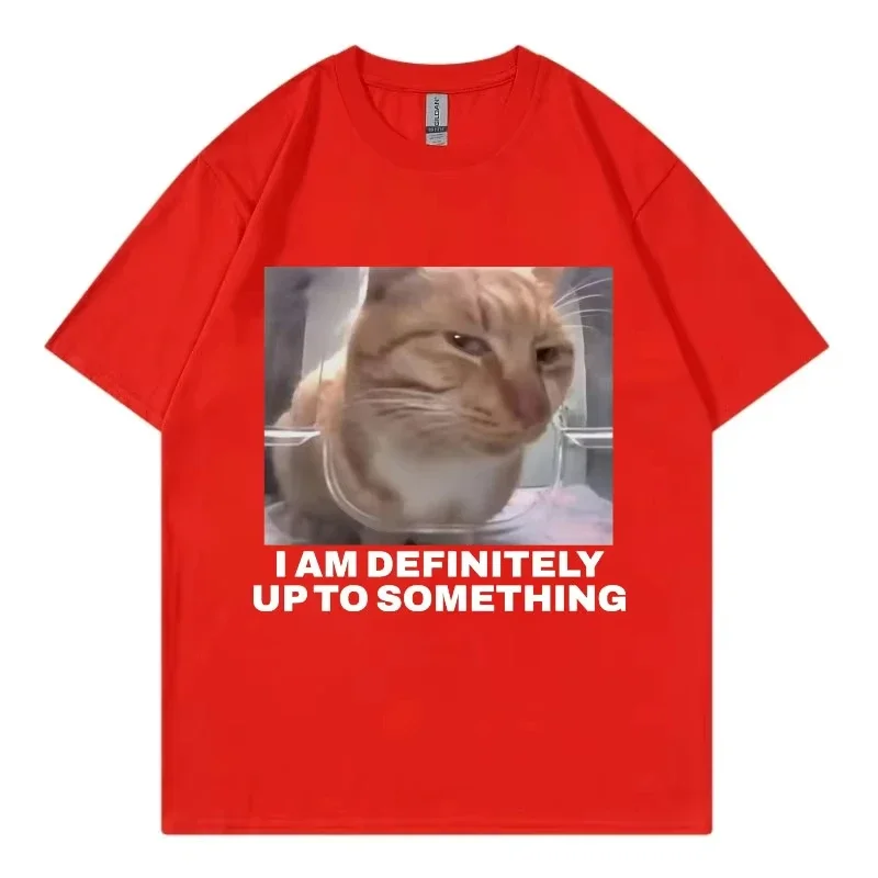 Soia definitivamente hasta algo divertido gato Meme camiseta moda de venta al por menor tendencia mujer Casual Harajuku manga