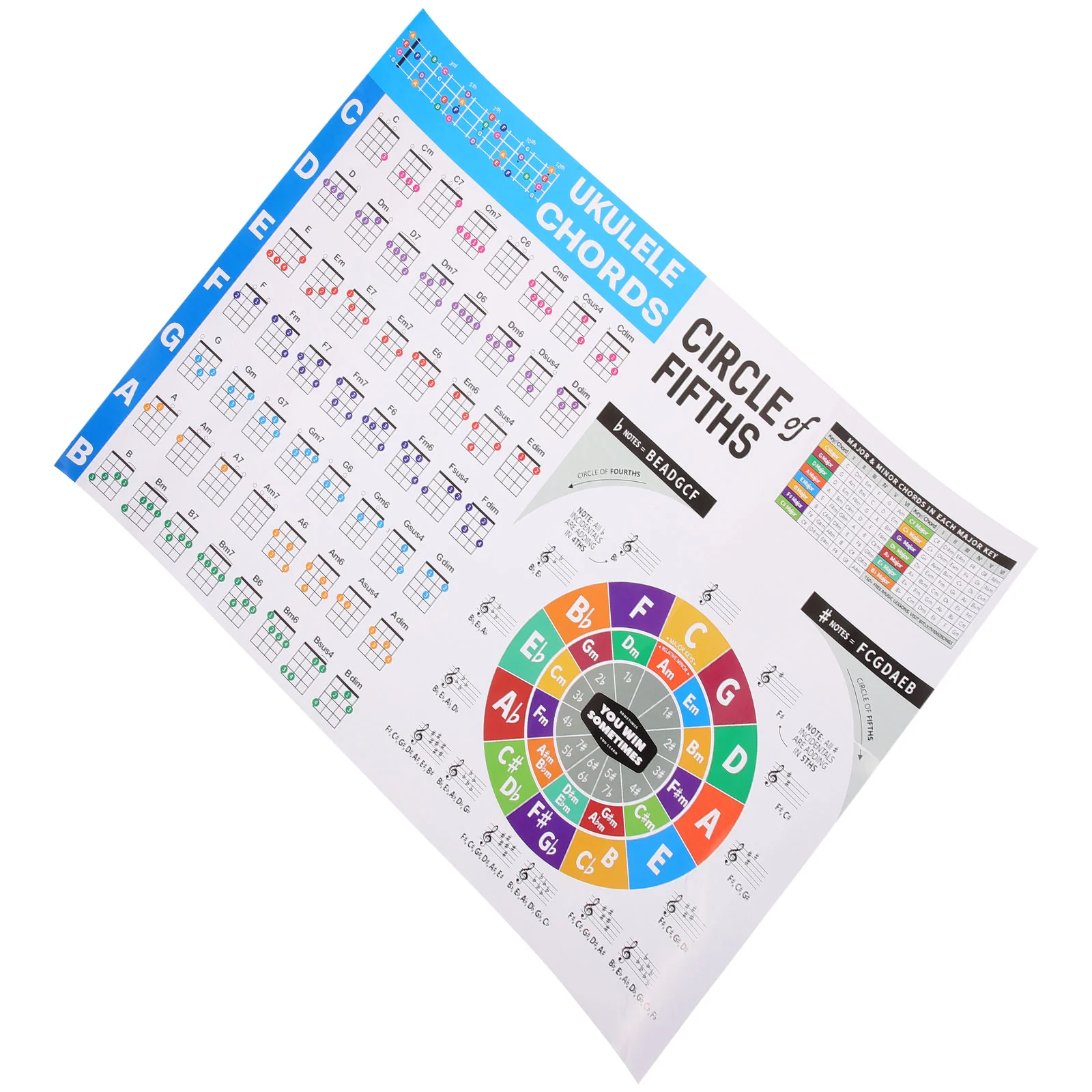 Ukulele Chord Chart Large Size 721 Coated Paper Beginner Music Theory Learning Posters Circle of Fifths Practice