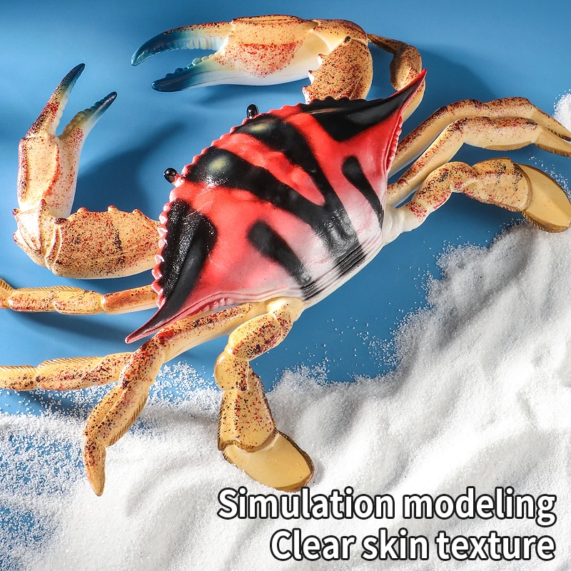 Grande brinquedo de caranguejo vermelho realista simulação sólida educacional oceano vida marinha modelo animal figura-presente de criatura divertida para crianças