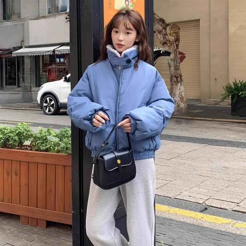 

2025 New Autumn Winter Lined Jacket Winter Coat for Women Warm Padded Korean Style Parkas Female Puffer Outwear Office Lady C165