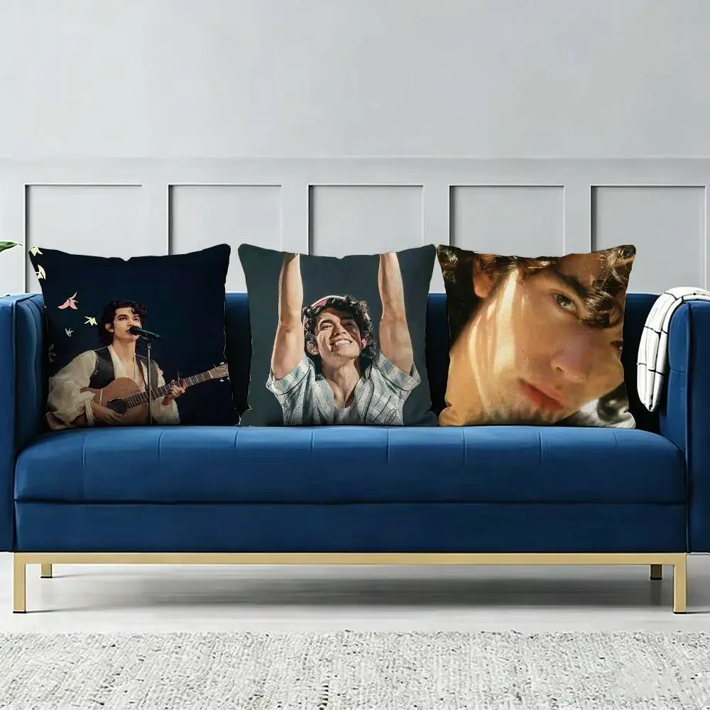 Singer C-Conan G-Gray-S Pillow cover Soft Microfiber Pillowcase Home Sofa Decor Surprise Decorative printed.