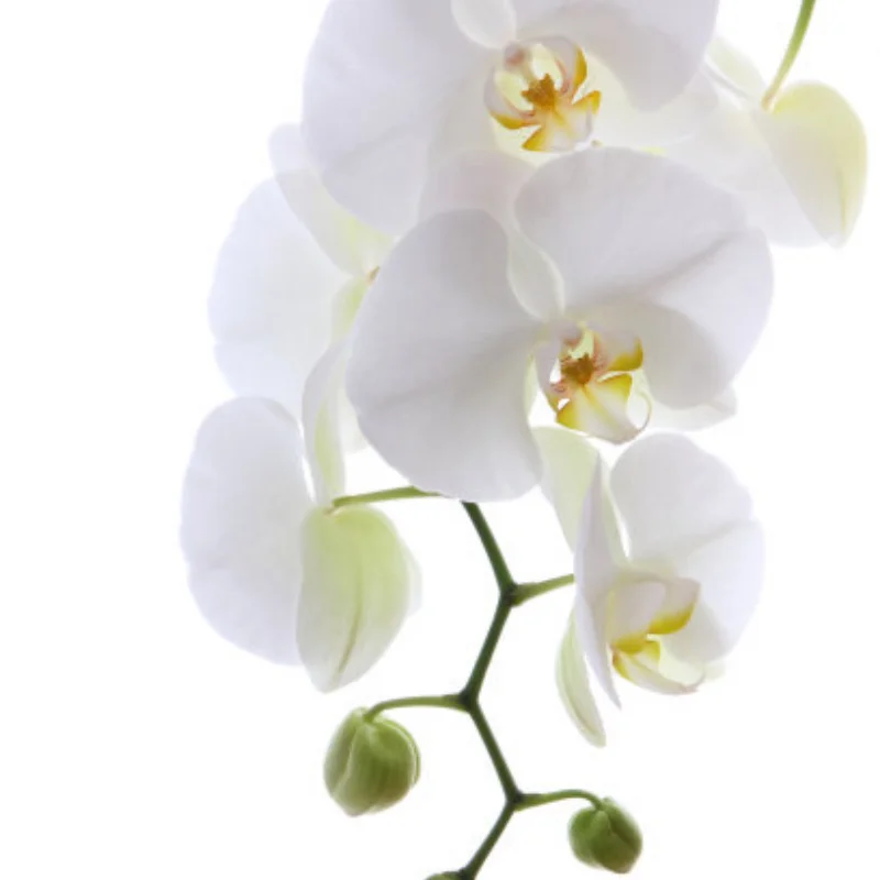 

4 шт. 98 мм 1,9 дюйма резиновые шины с пенопластовыми вставками для 1:10 RC Rock Crawler Axial SCX10 D90 D110 Tamiya CC01 1,9 дюйма шины