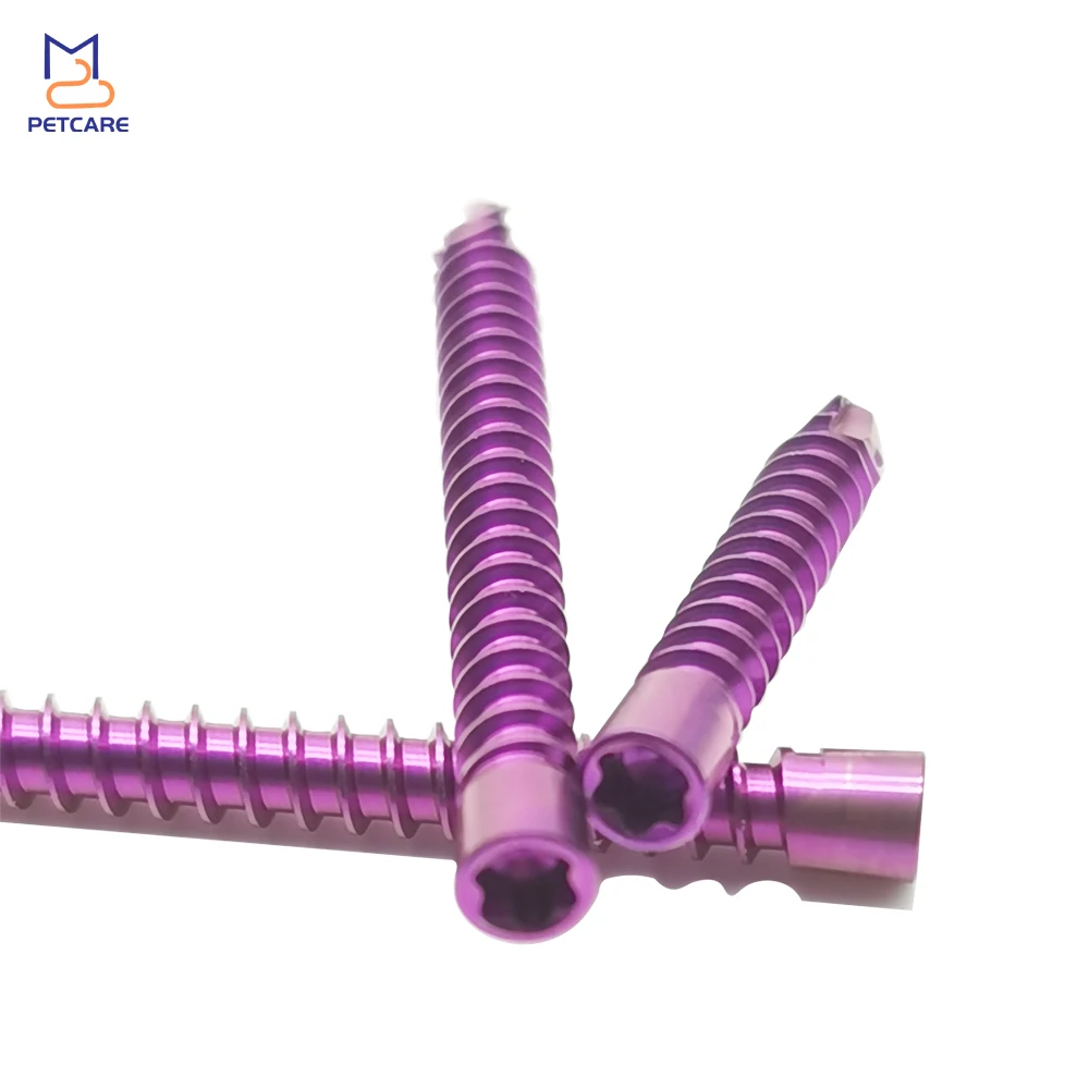 2.4mm Titanium HC Locking Screw for Veterinary, Orthopedic Surgery, Implants and Instruments, Medical Accessories,10Pcs