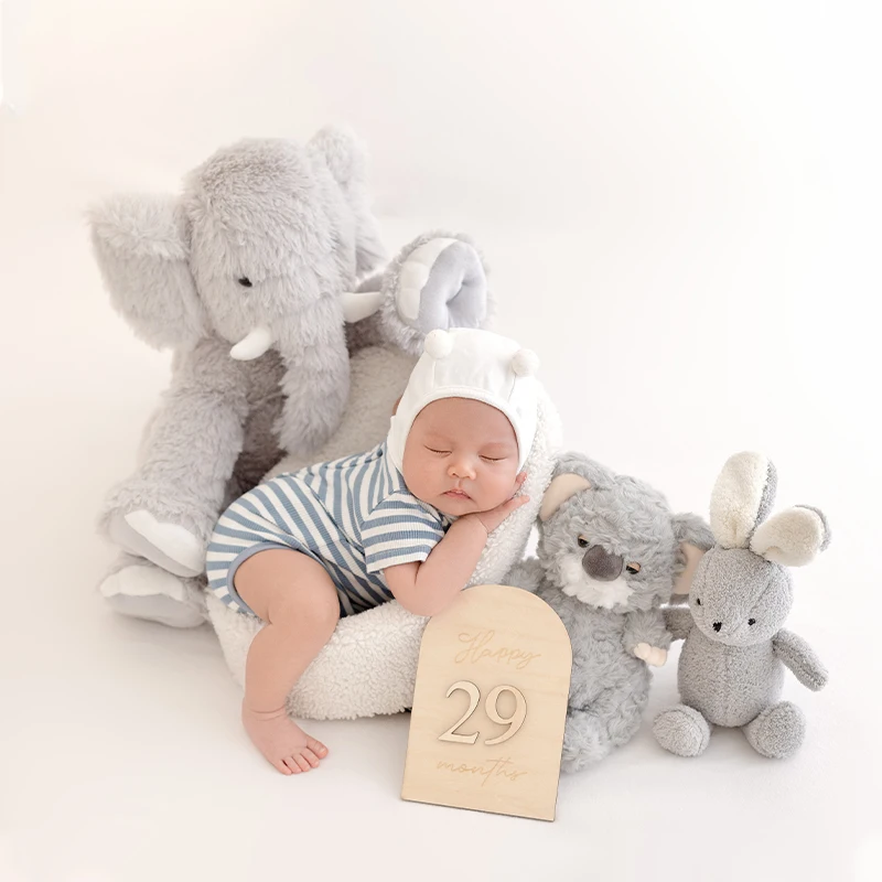Summer Newborn Photography Doll Theme Stripes Set Cute Wind Koala Rabbit Doll Photography Props Baby Birth Memorial Photo Props