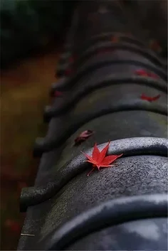 

1PCS Metal Motor Mount with 10x19x5mm Bearing for Trxs Rustler 4X4 VXL Slash 4x4 LCG Chassis 1/10 RC Car Upgrade Parts