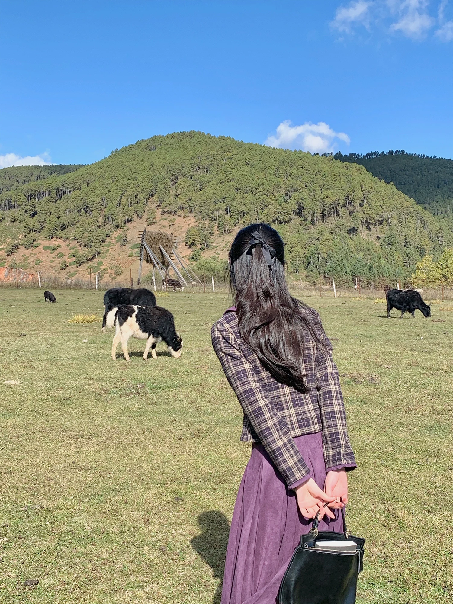 

Весенний женский комплект из шерстяной ткани в клетку и замши в японском стиле: футболка и брюки. Модный женский костюм.