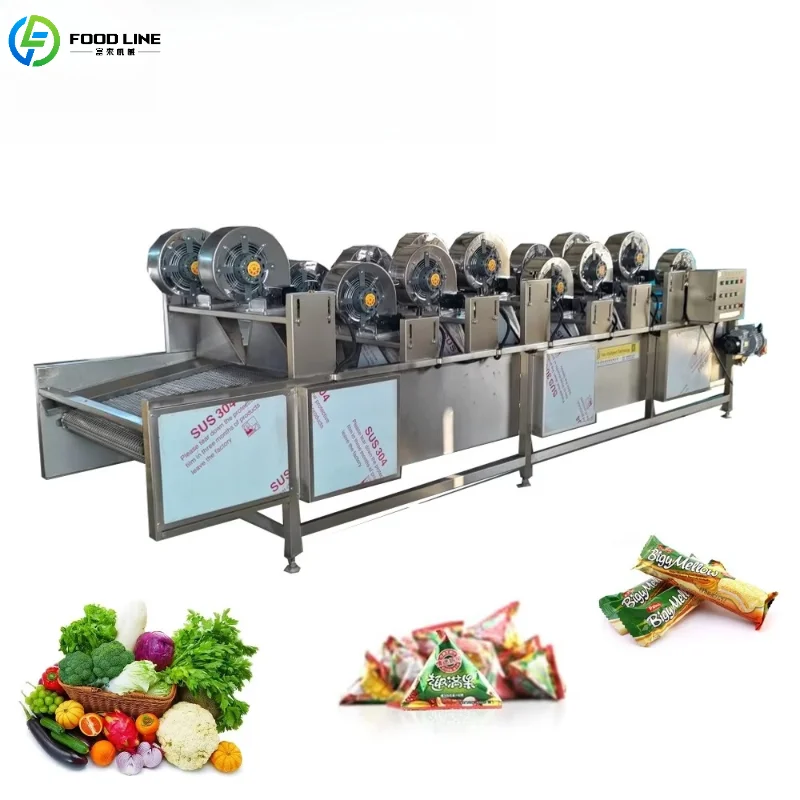 Customized Fruit and Vegetable Drying Conveyor Belt with Air Blower Stainless Steel Commercial Processing Device