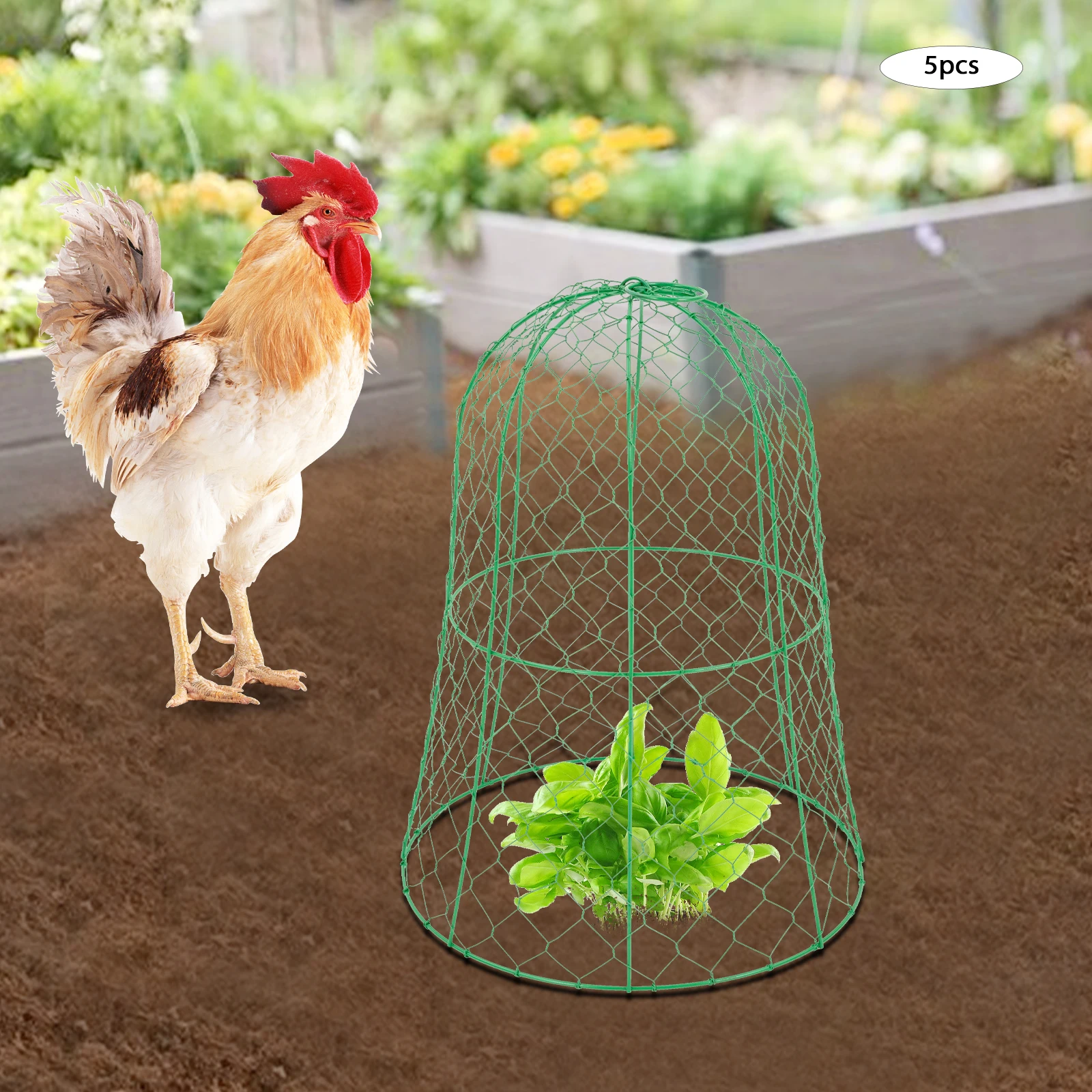 5 Pack Garden Chicken Wire Cloche Plant Protector Cover Strong Metal Cloches (5 Packs) 12.99