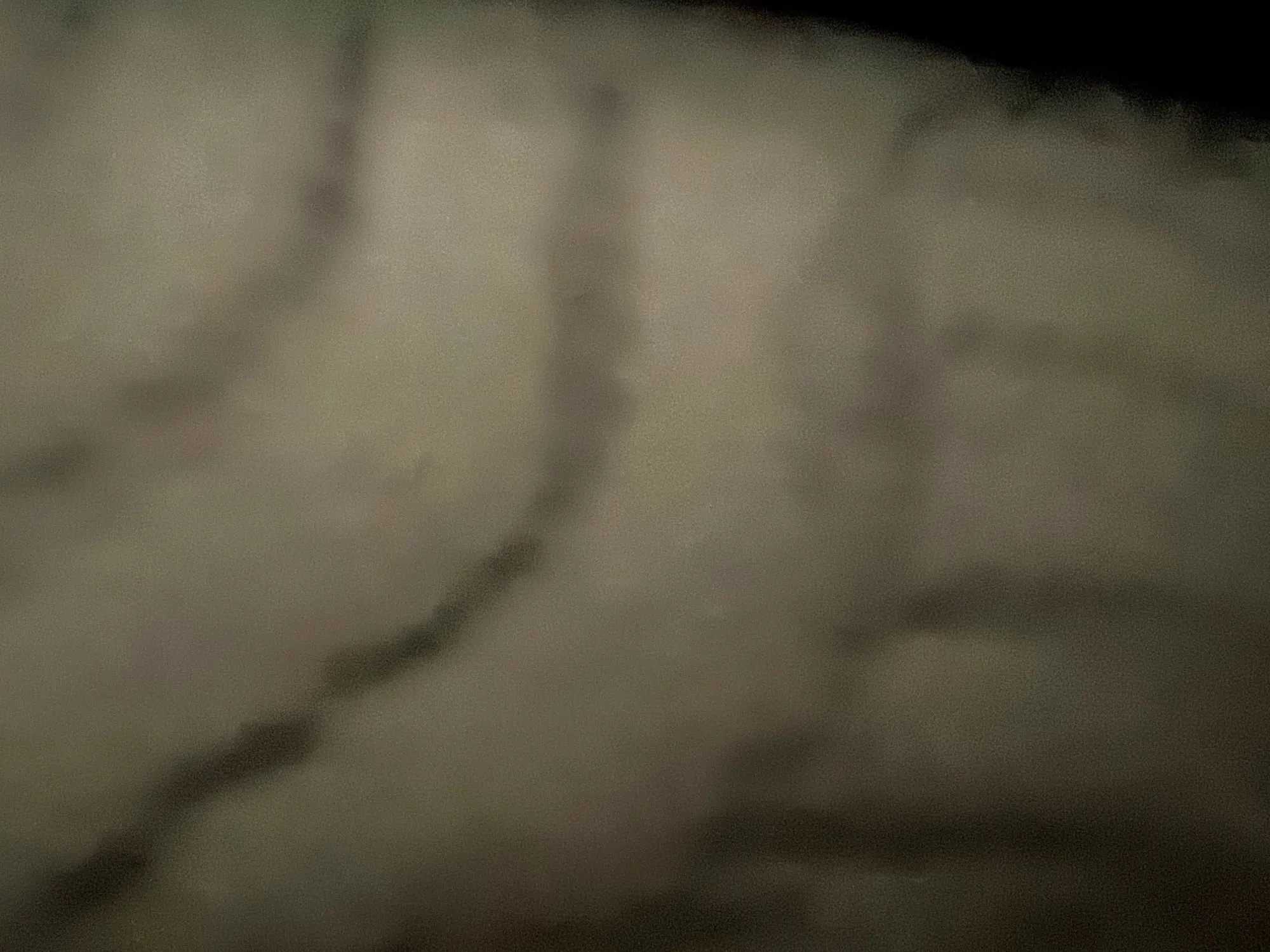 실물 포토 리뷰