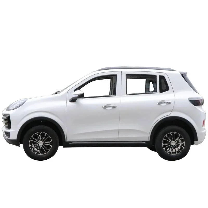 New Energy Vehicle Lithium Lead-Battery Configurable Low-speed Car 3500W-4500W Motor 301-400km Range Customized Color