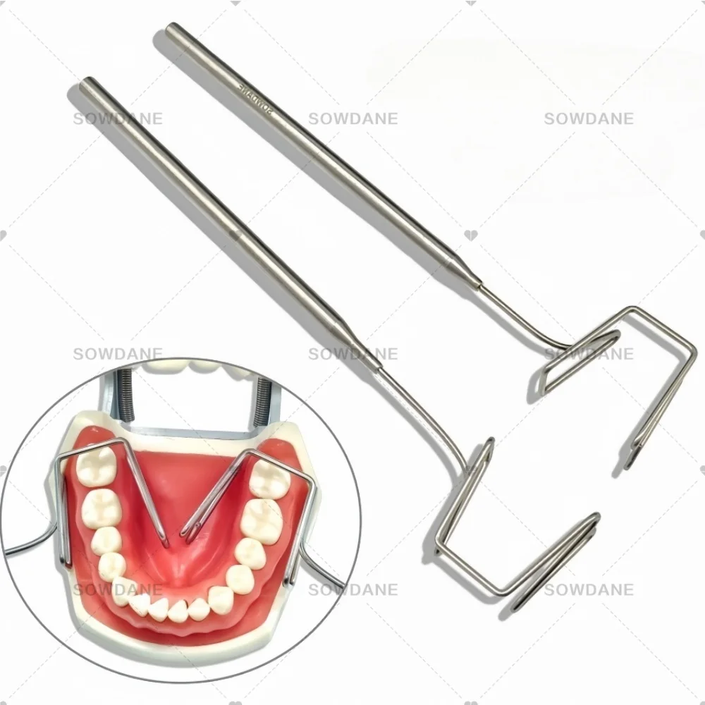 J Lab الفولاذ المقاوم للصدأ فاصل اللغة اللسان المعزل الشفاه الخد المعزل الشفاه الخد فاصل الكامشات أفضل أداة