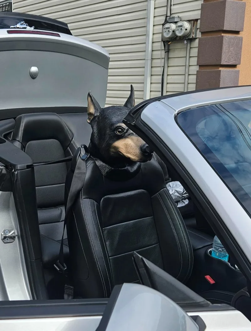 Maschera per cani realistica Testa di Doberman nera Divertente maschera per animali in lattice Vestito operato Festa di carnevale Maschera per costume cosplay di Halloween per uomo