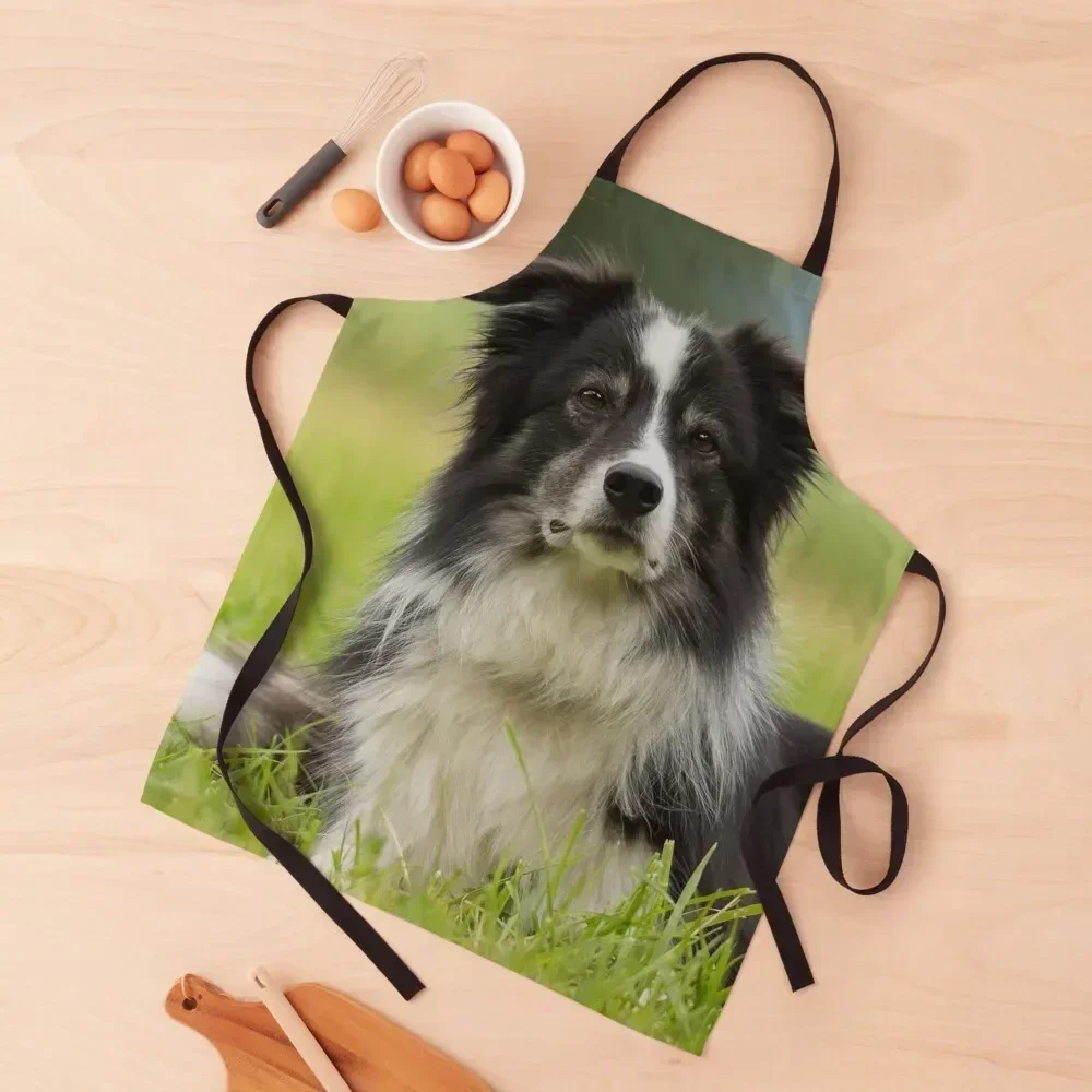 

Border Collies Art Apron Barista House Things For Home And Kitchen Restaurant kitchen gadgets Apron