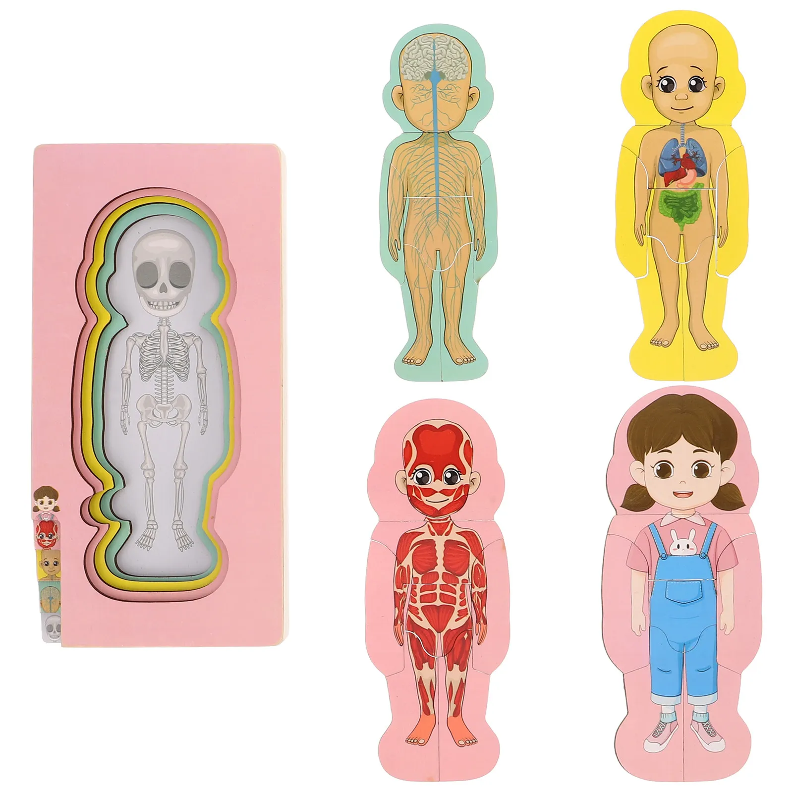 

Anatomy Learning Toy for Girls Educational Brain Teaser Puzzles Kids Human Body