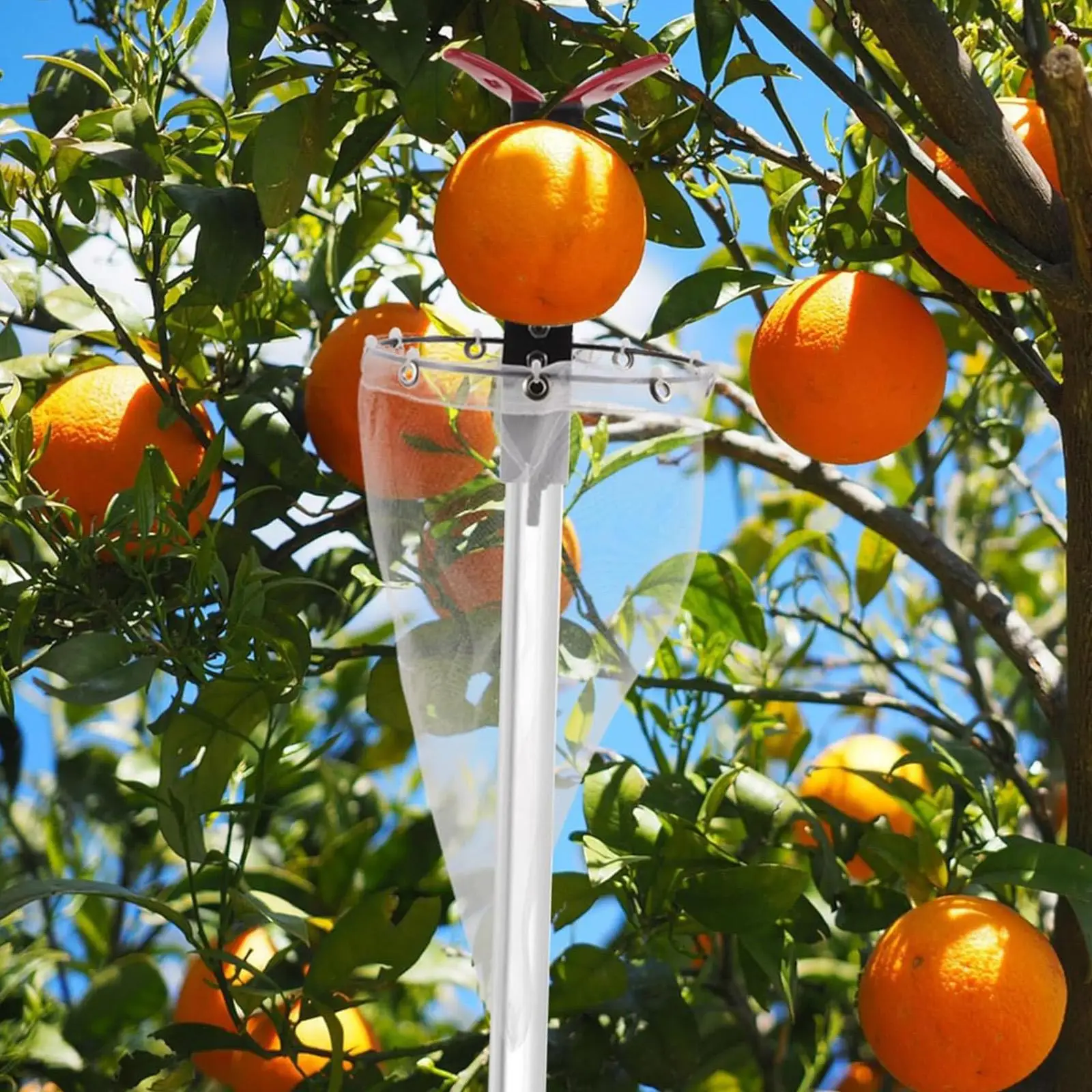 

Fruit Picker Head Fruit Grabber Tool Stainless Steel Easy to Install Fruits Catcher Gardening Tool for Figs Dates Persimmons