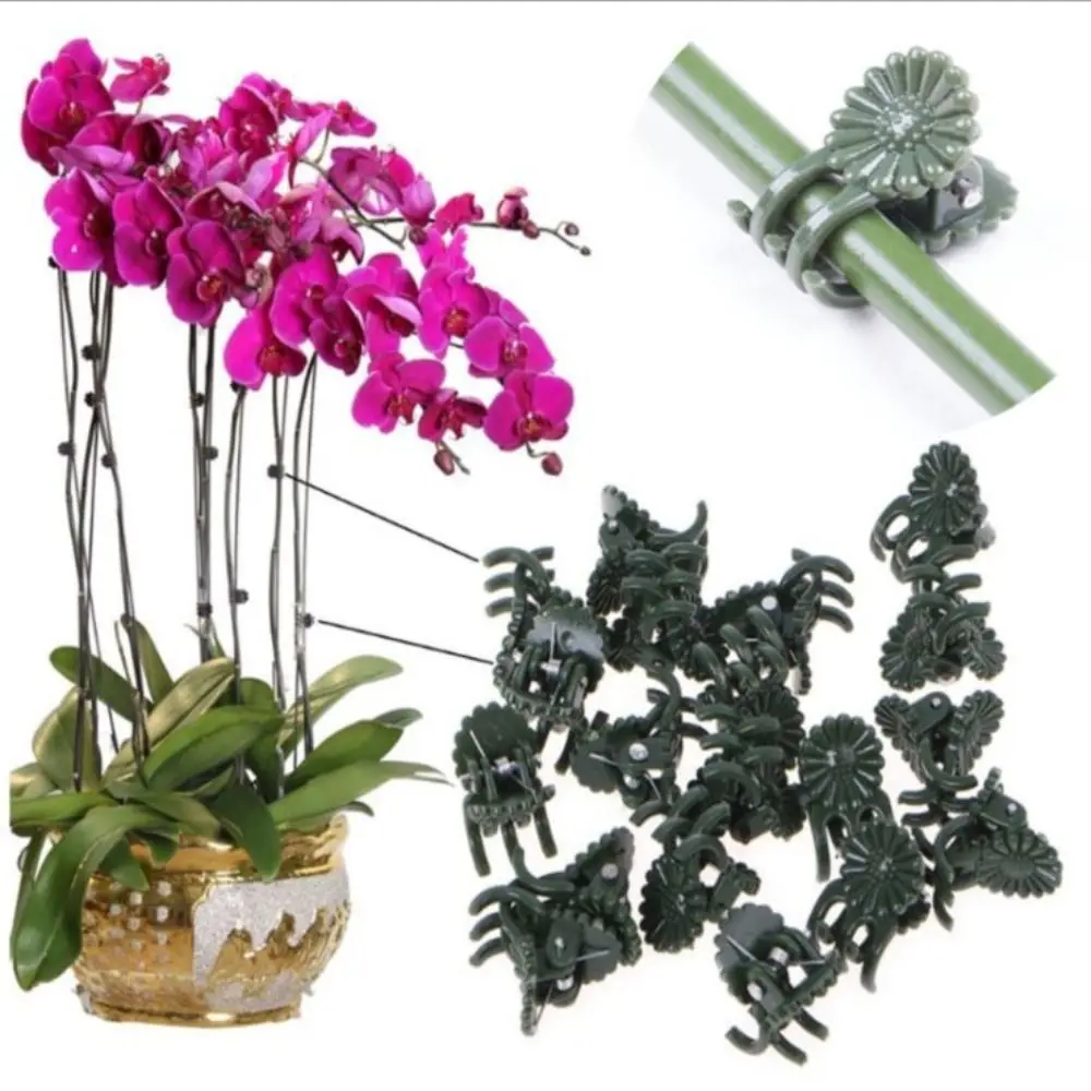 Plastic 50Pcs Garden Grafting Flower Grow Upright Branch Clamping Orchid Stem Clip Plant Clip Vine Clips Support Clamp