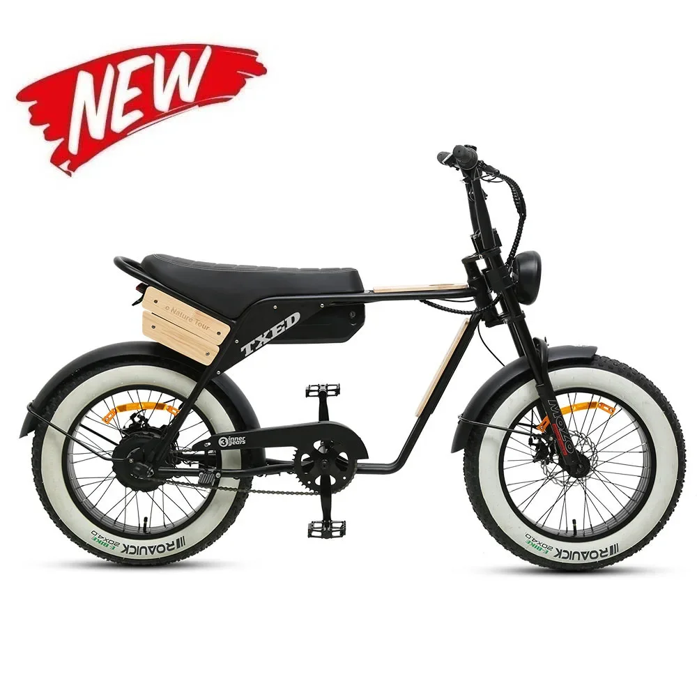 

TXED Unique Design Fat Tire Electric Motorcycle Type Bicycle with Heating Grip 48V/250W Rear Motor Electric Motorcycle