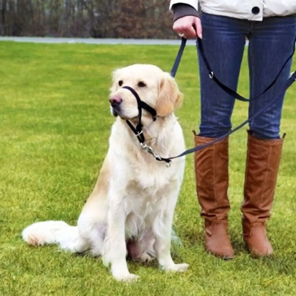 Nylon Non Pull Anti barking Dog Halter Leader Harness Dog Muzzle Dog Head Collar