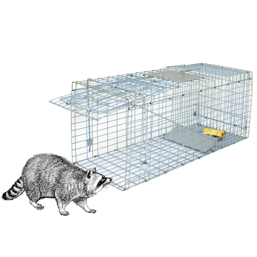 

Humane Small Live Animal Trap Control Steel Cage 32"x12.5"x12" Raccoon Skunk Cat