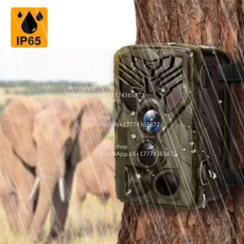 

Outdoor Camera 16 Million Infrared Camera, Waterproof Camera