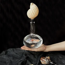1pc Champagne Wine Stopper Natural Shell Conch Bottle Stopper Irregular Sealing Wine Cork Bar Tools