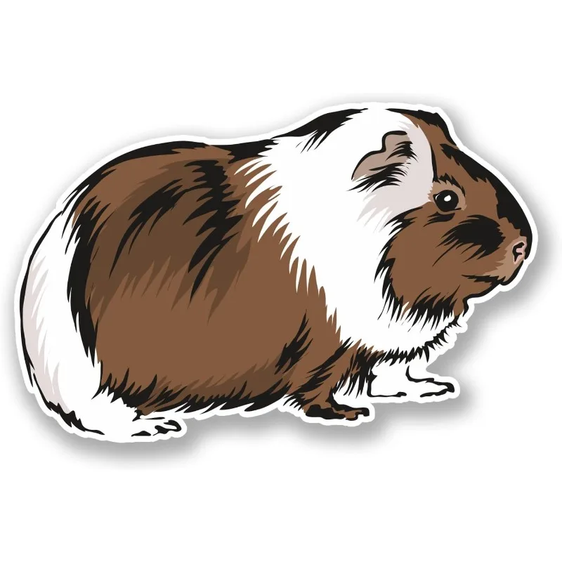 

Guinea Pig Vinyl Sticker, Decor Decal for Car Laptop Tablet Helmet