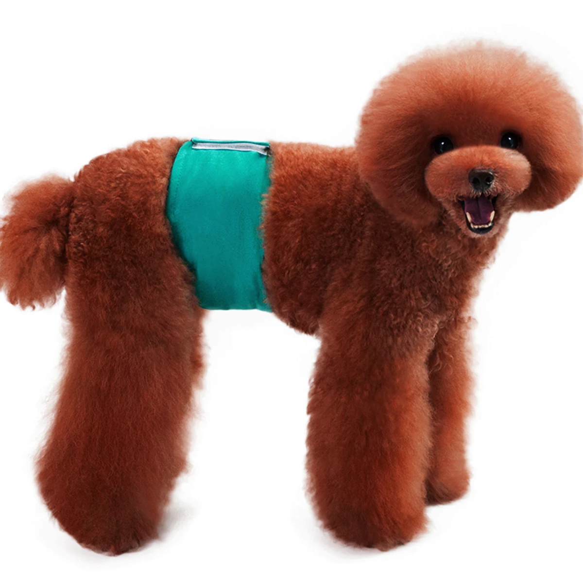 

Male Dog Physiological Pants Doggie Diapers Belly Bands Sanitary Pantie for Dogs