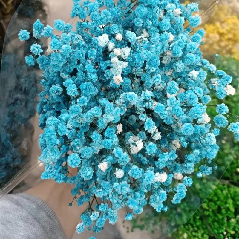 Immortal gypsophila natural dried flowers for wedding home decor and shop office decoration 70g/Lot long about 50cm