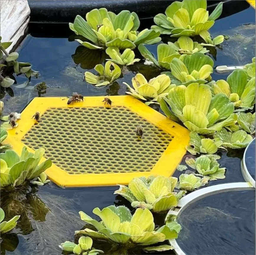 Anti-Drowning Bee Waterer – Hexagonal Acrylic Tray with Lure Cups for Beehive Hydration