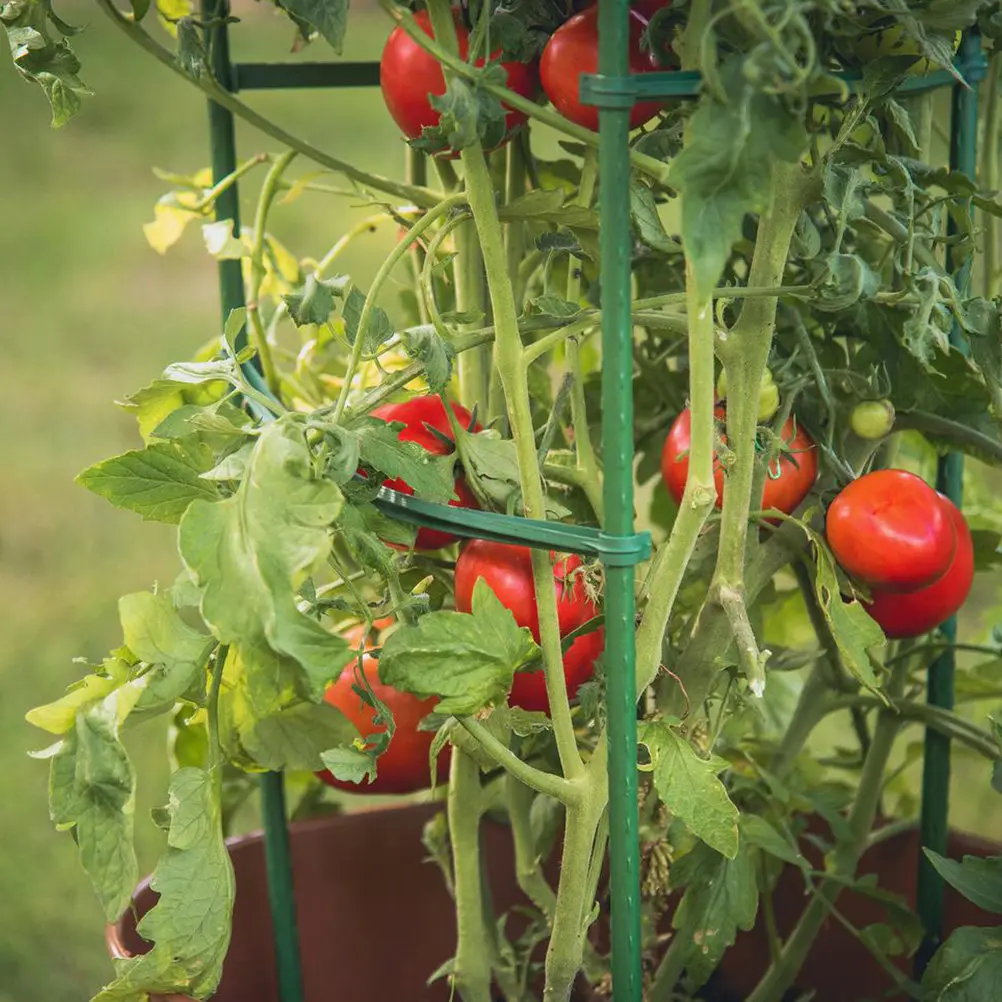 12Pcs Heavy-Duty Plastic Coated Adjustable Tomato Cages for Tomatoes Peppers Vines Flowers Vegetable Trellis Support Garden