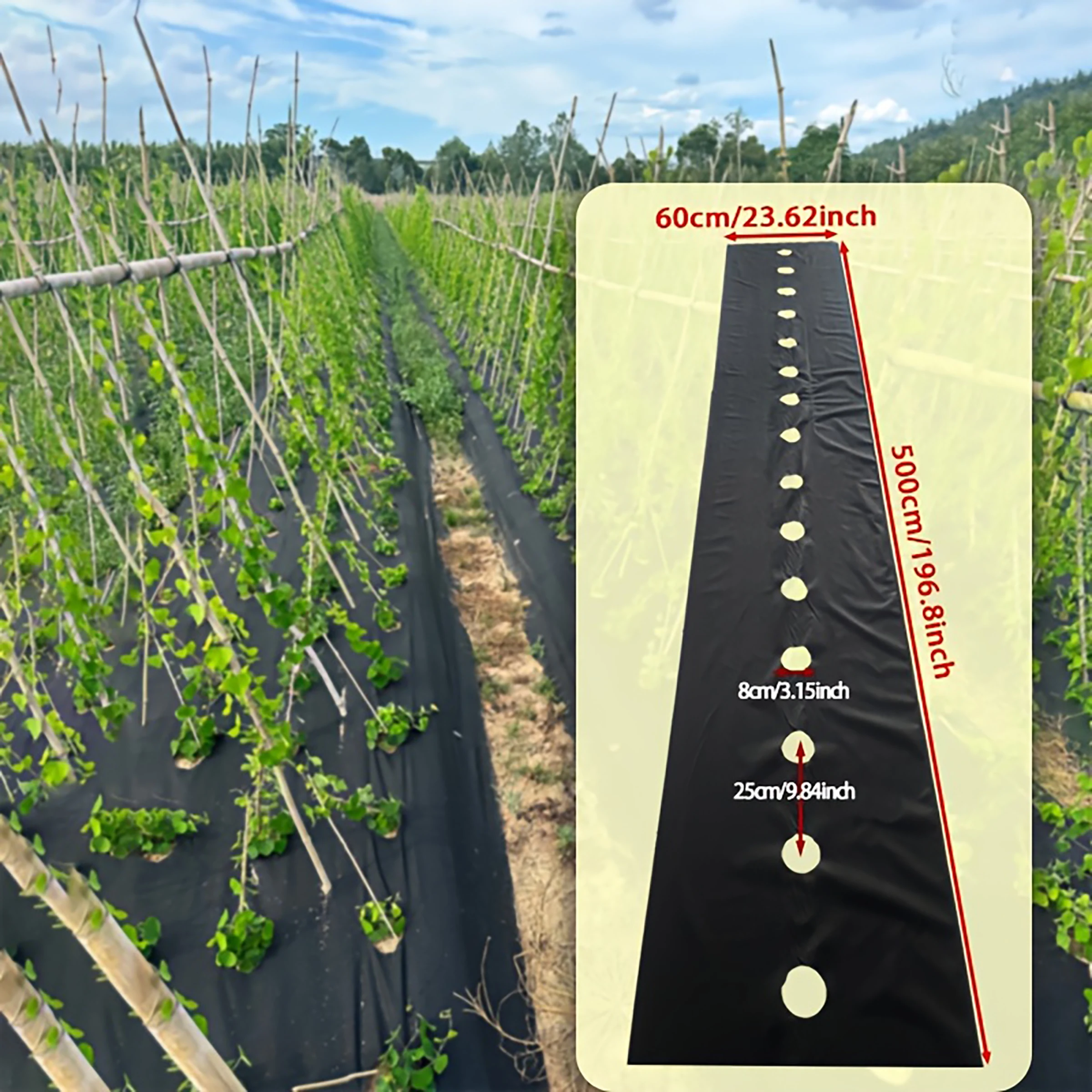 Schwarzer, perforierter, atmungsaktiver, grasfester Vliesstoff, 23,62 x 196,85 Zoll, geeignet für Gemüsegärten und Gartenüberzüge