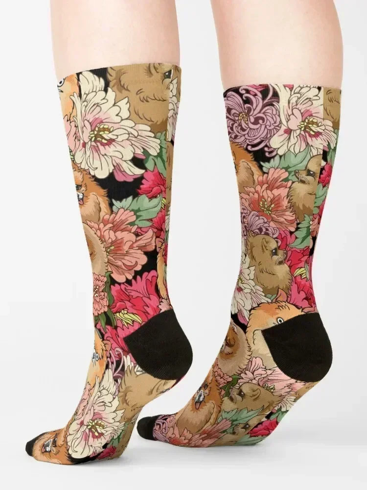 Because Pomeranians Socks aesthetic Stockings man warm winter cool Man Socks Women's